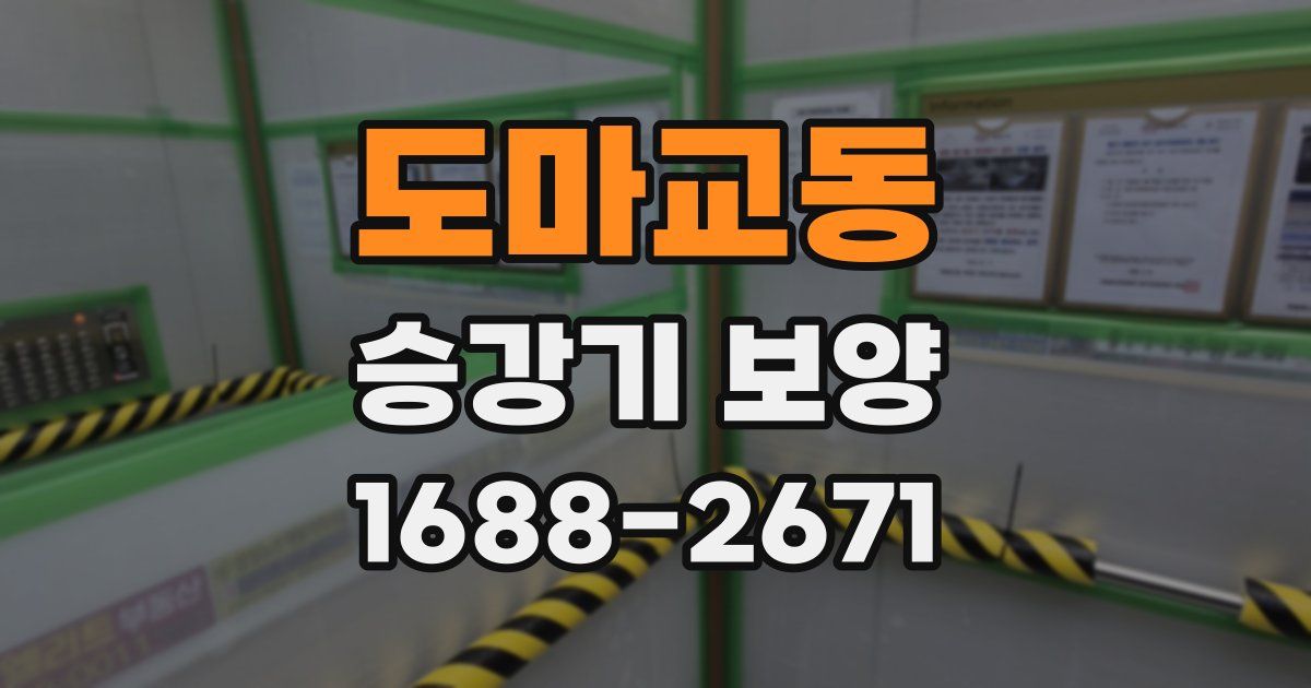 도마교동 승강기 보양