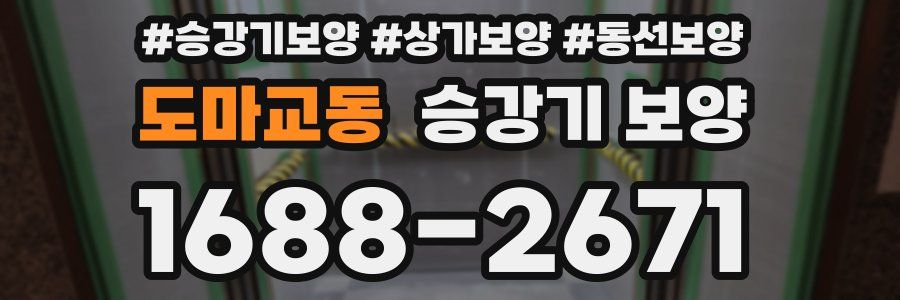도마교동 승강기 보양