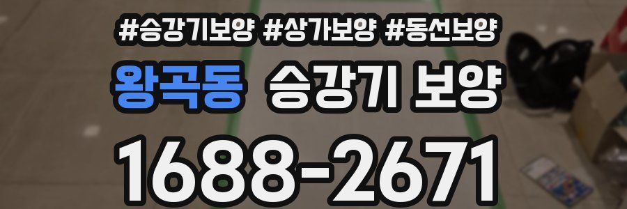 왕곡동 승강기 보양
