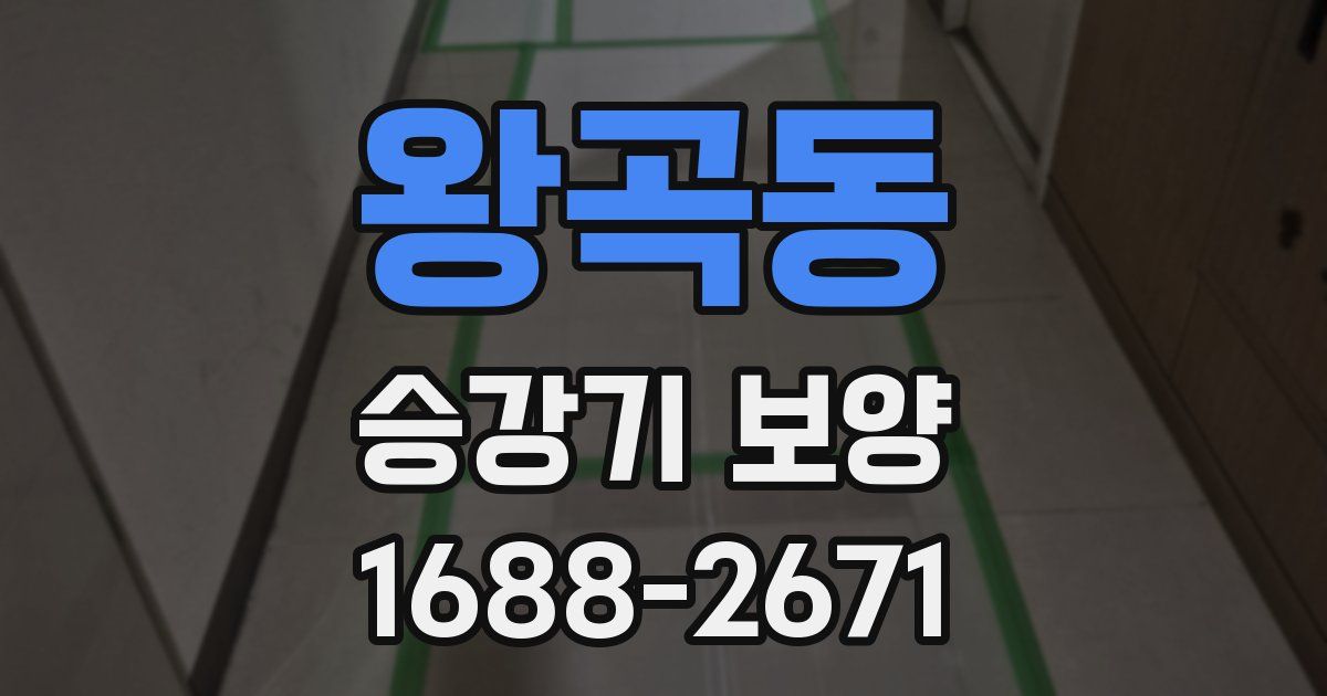 왕곡동 승강기 보양