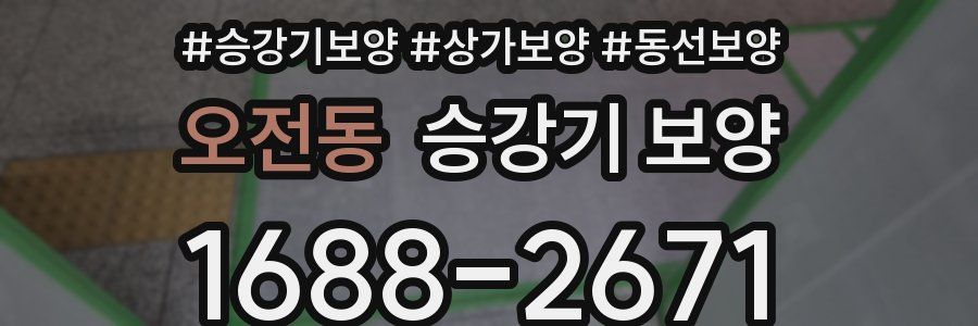 오전동 승강기 보양