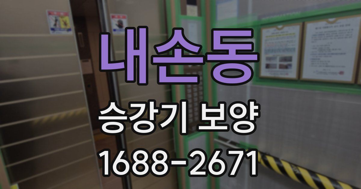 내손동 승강기 보양