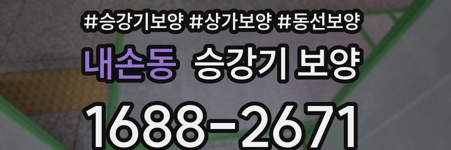 내손동 승강기 보양