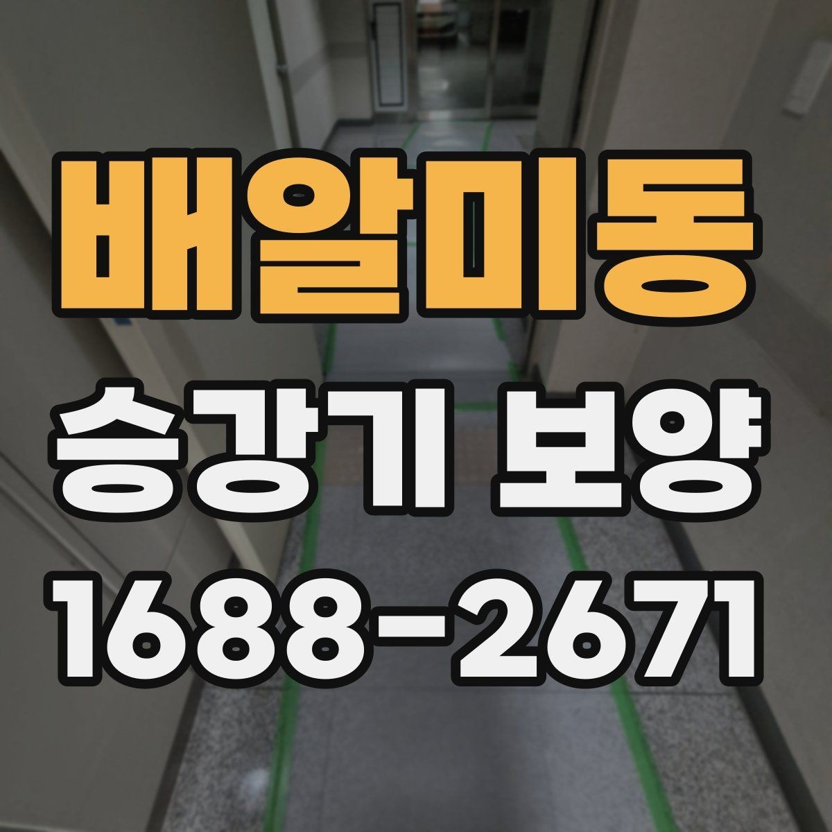 배알미동 승강기 보양 후 손상 예방을 위한 관리법