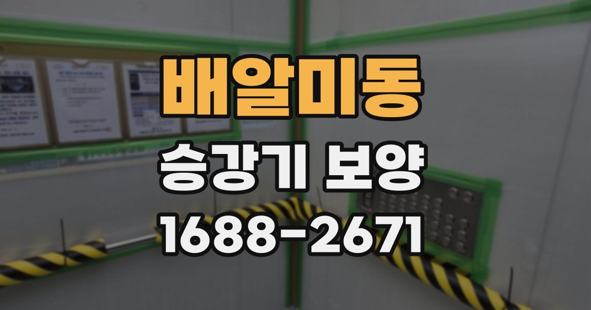 배알미동 승강기 보양