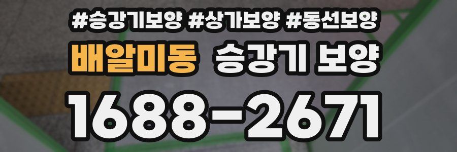 배알미동 승강기 보양
