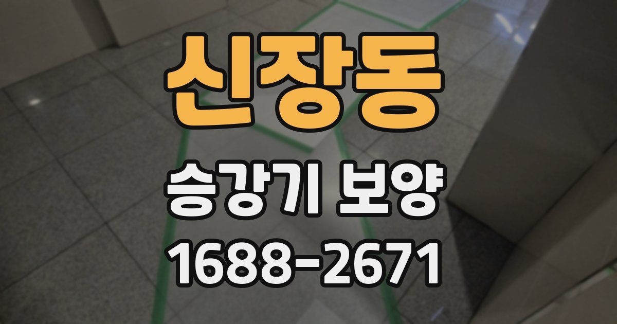 신장동 승강기 보양