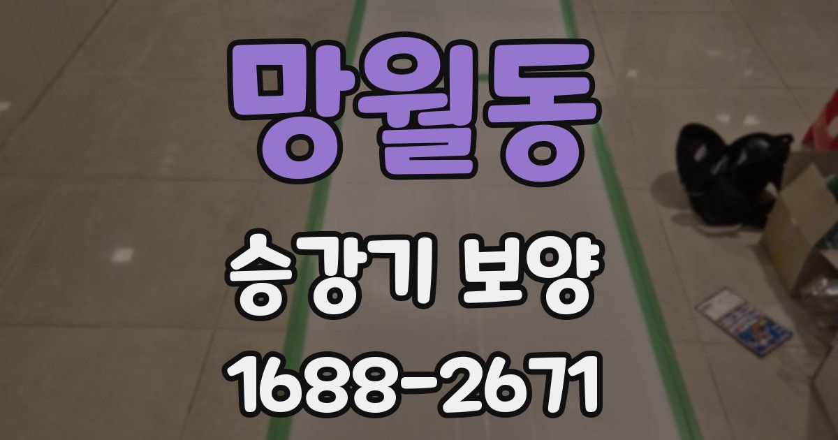 망월동 승강기 보양