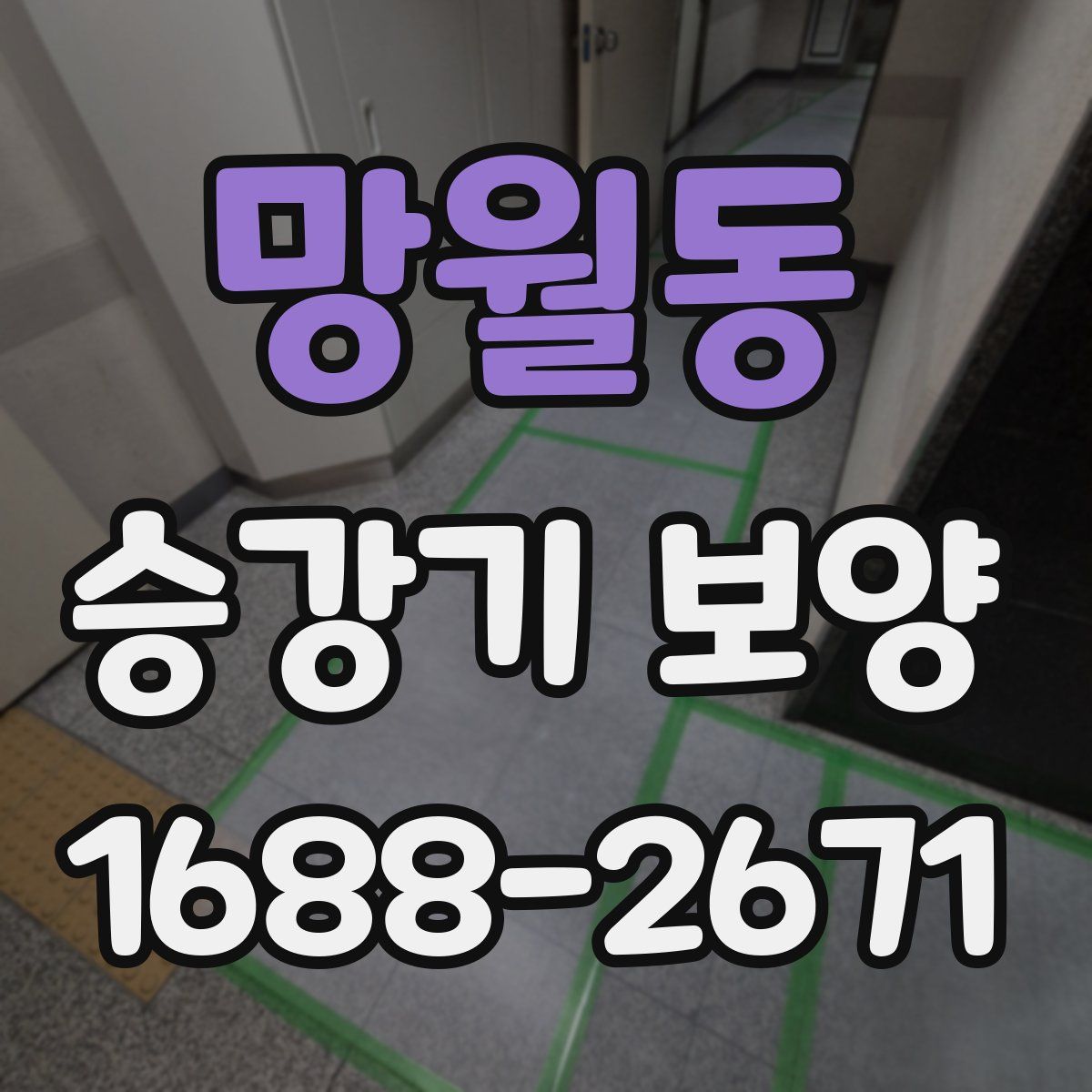 망월동 승강기 보양