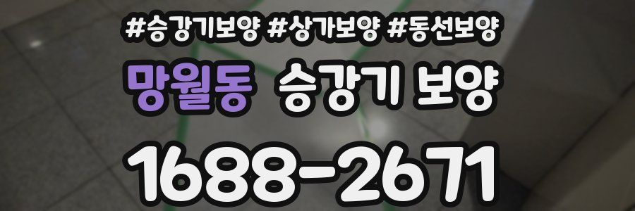 망월동 승강기 보양