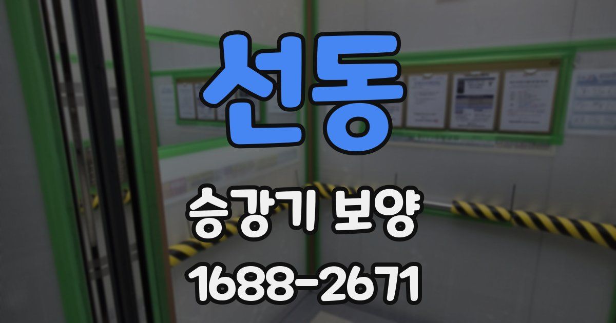 선동 승강기 보양