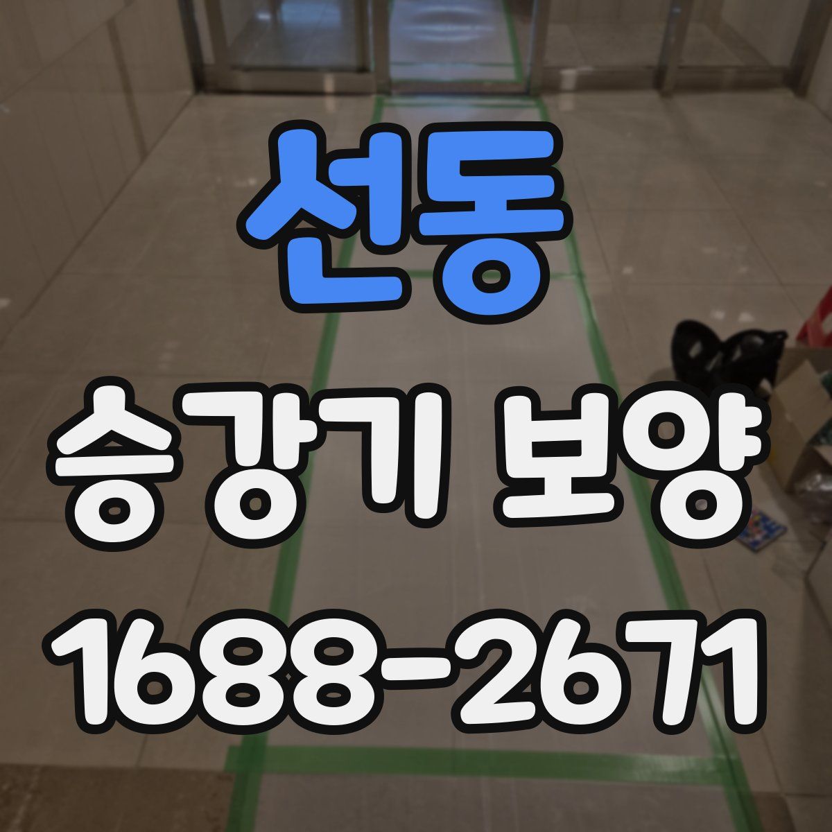 선동 승강기 보양