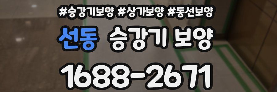 선동 승강기 보양