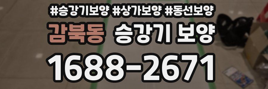 감북동 승강기 보양
