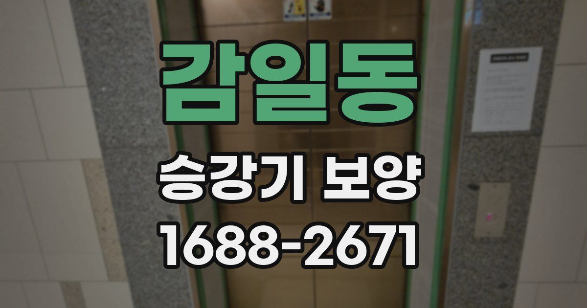 감일동 승강기 보양