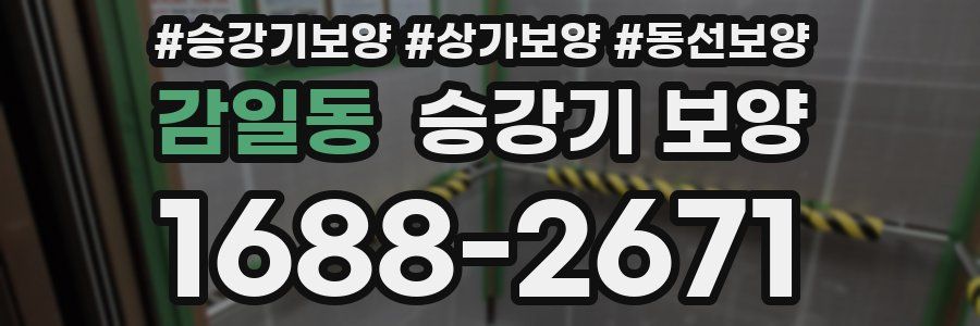 감일동 승강기 보양