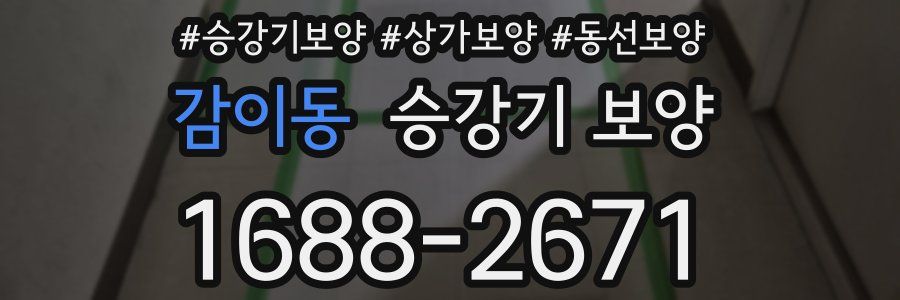 감이동 승강기 보양