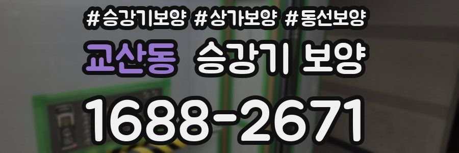 교산동 승강기 보양