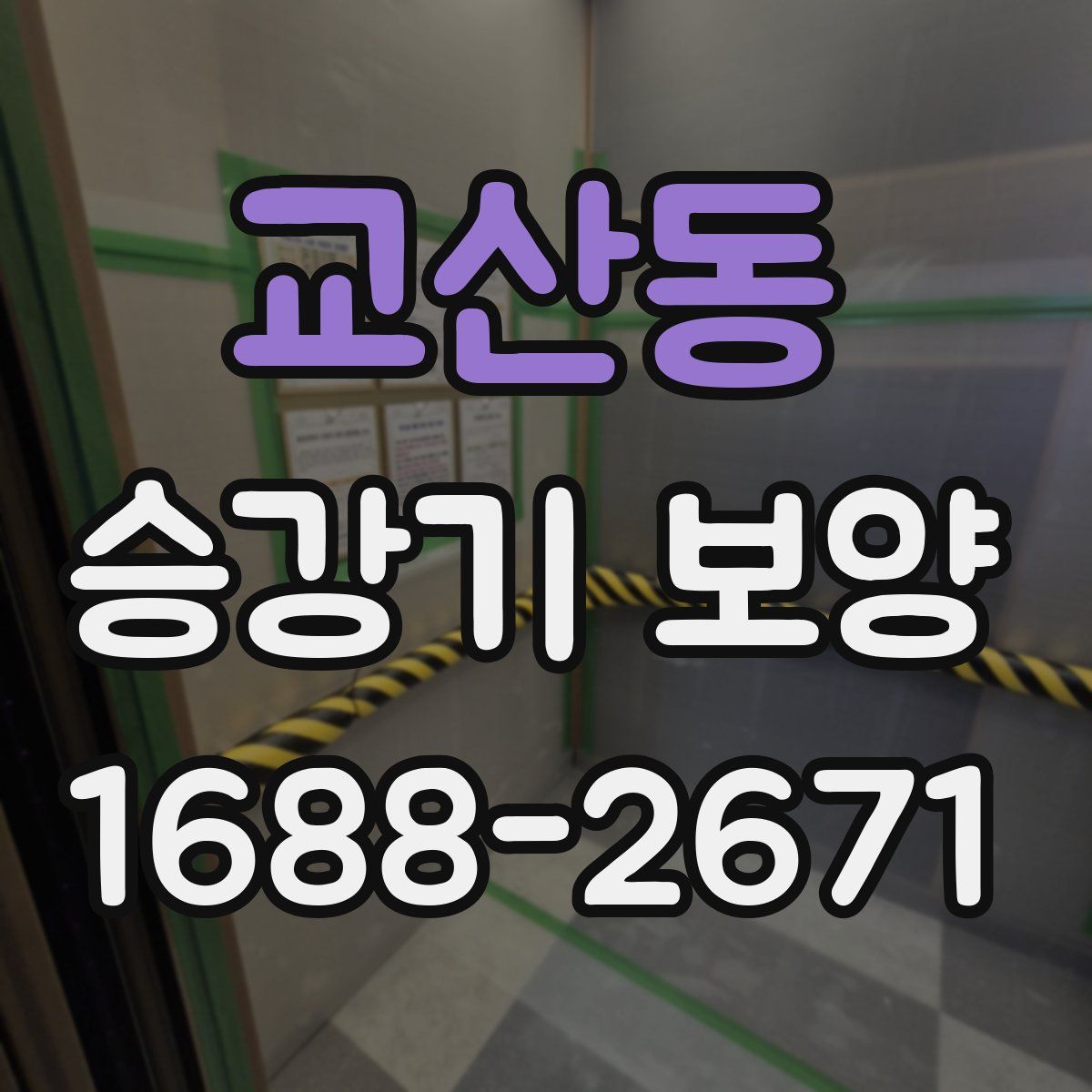 교산동 승강기 보양
