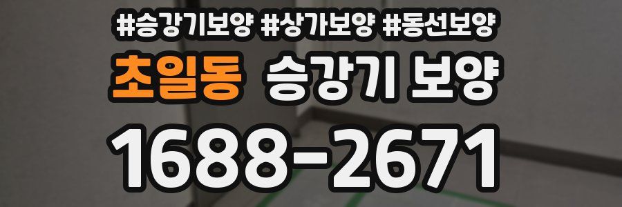 초일동 승강기 보양