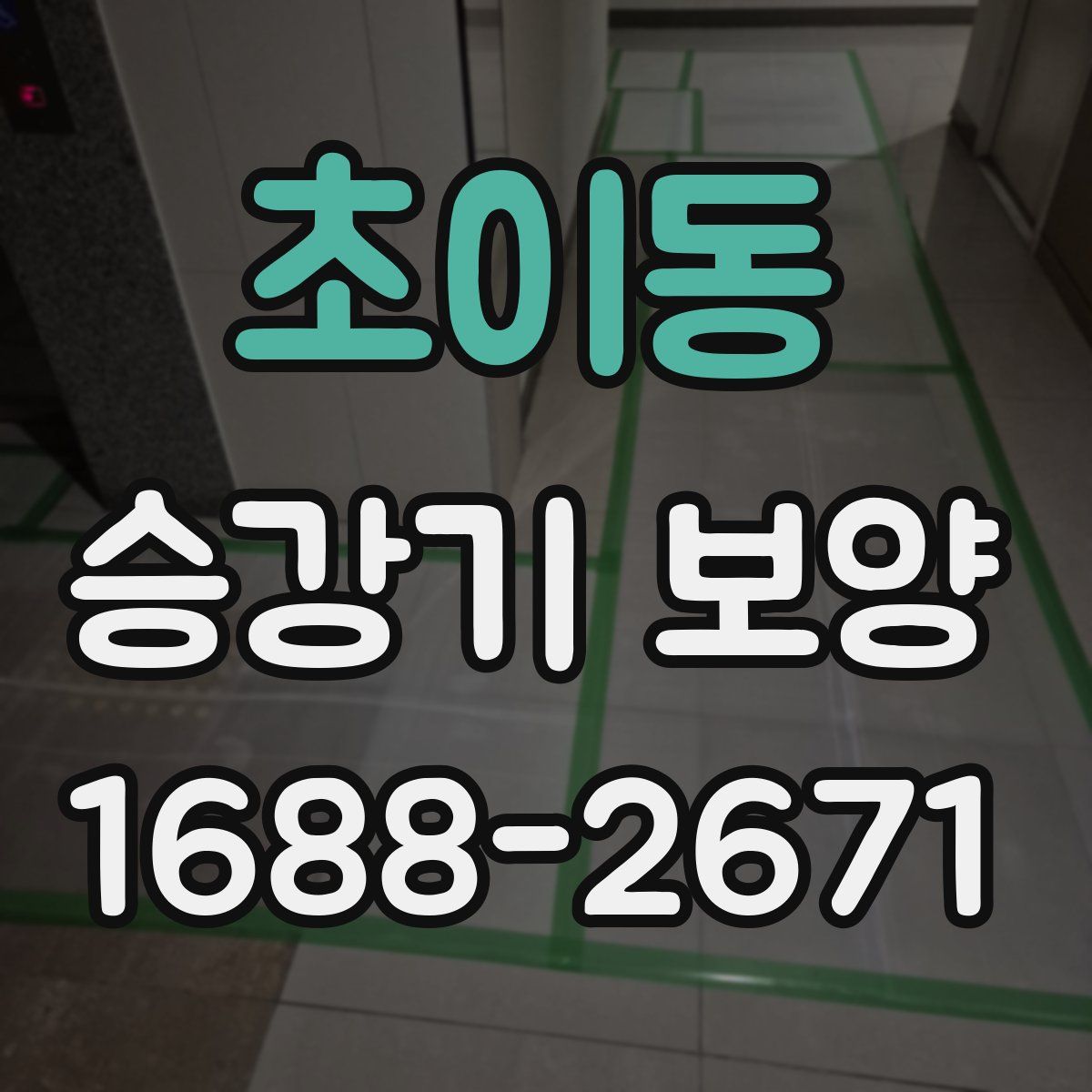 초이동 승강기 보양
