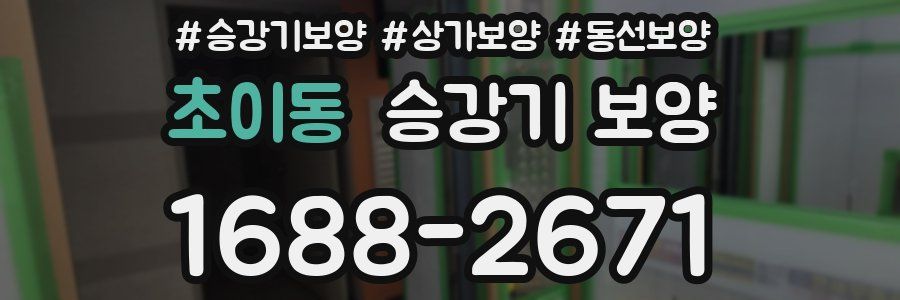 초이동 승강기 보양