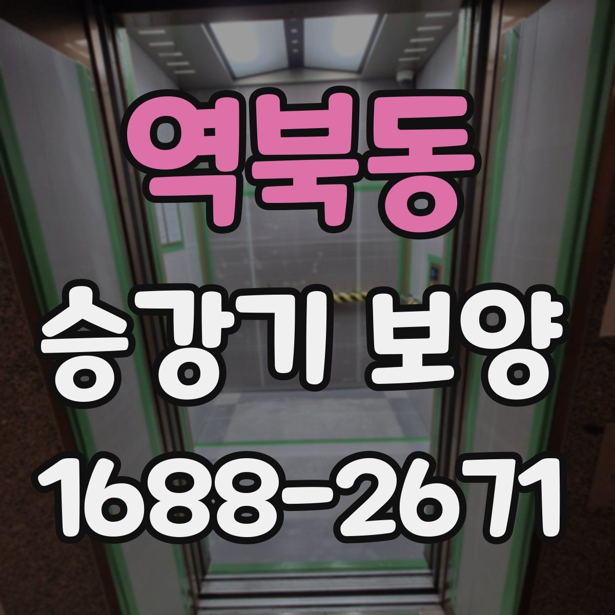 역북동 승강기 보양 현장 대응이 중요한 순간