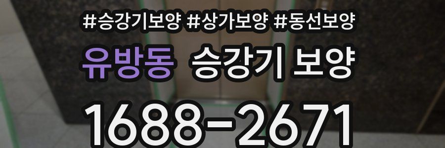 유방동 승강기 보양