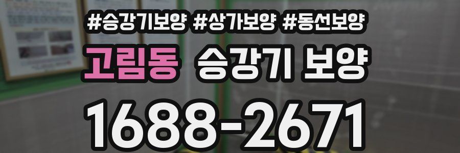 고림동 승강기 보양