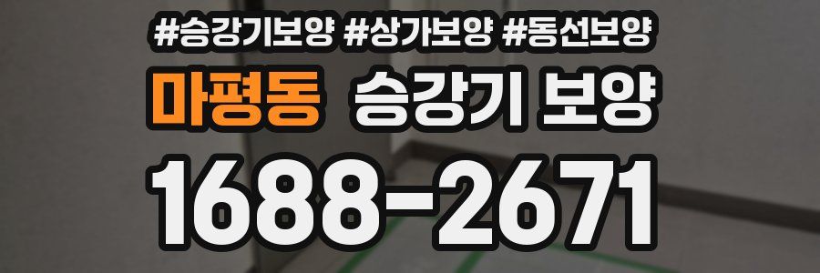 마평동 승강기 보양