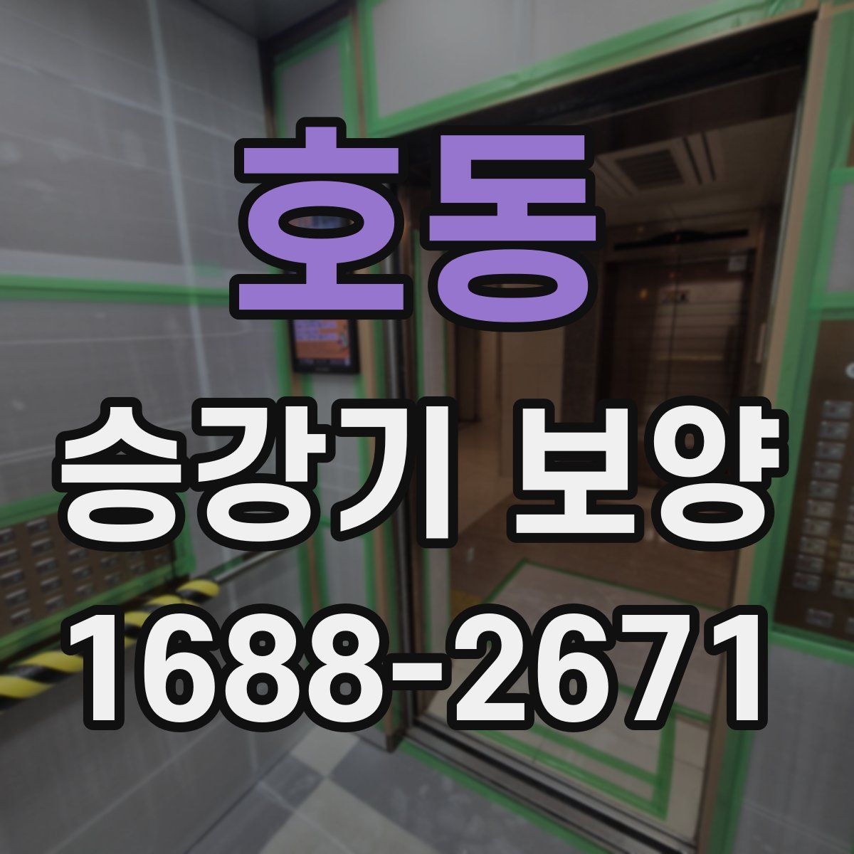 호동 승강기 보양