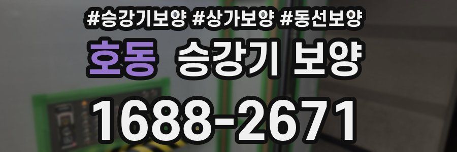 호동 승강기 보양