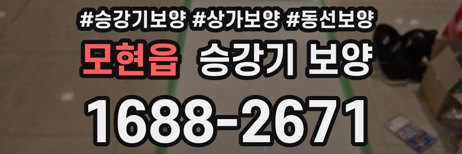 모현읍 승강기 보양