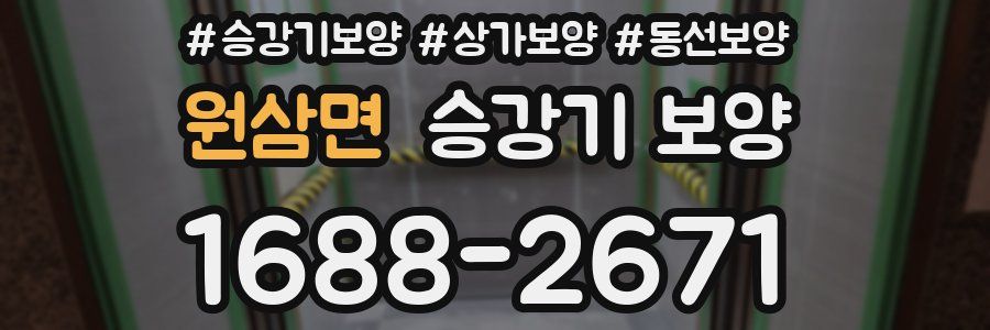 원삼면 승강기 보양