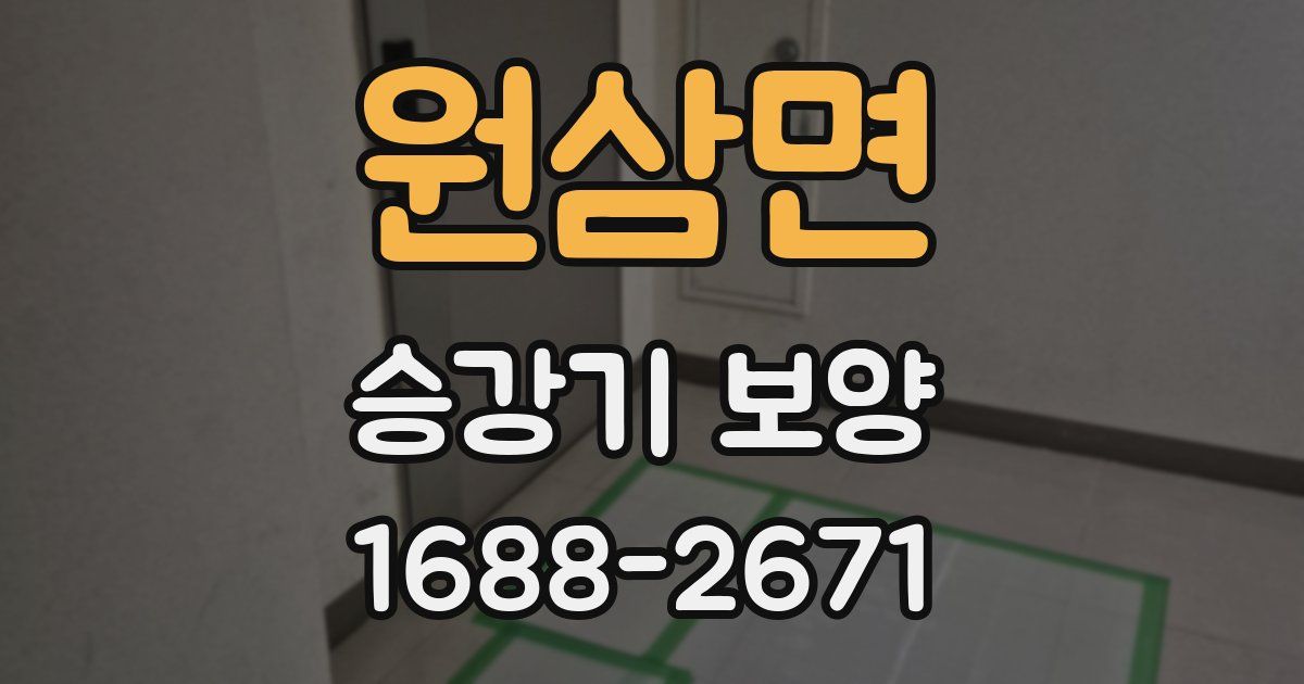 원삼면 승강기 보양