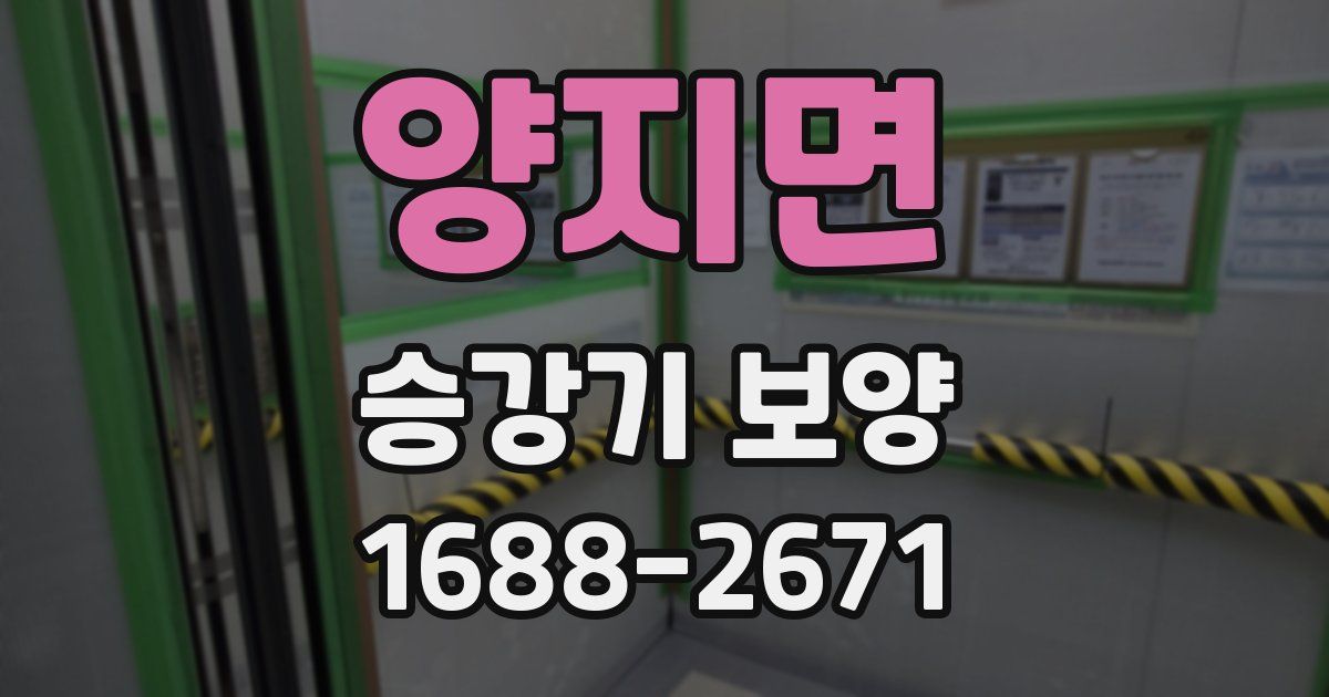 양지면 승강기 보양