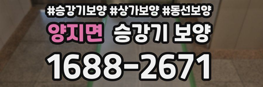 양지면 승강기 보양