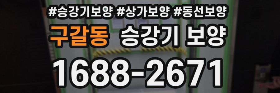 구갈동 승강기 보양