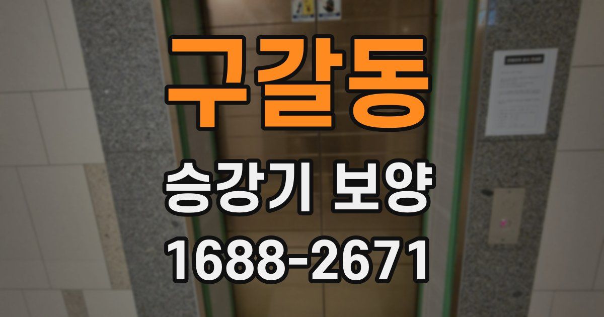 구갈동 승강기 보양