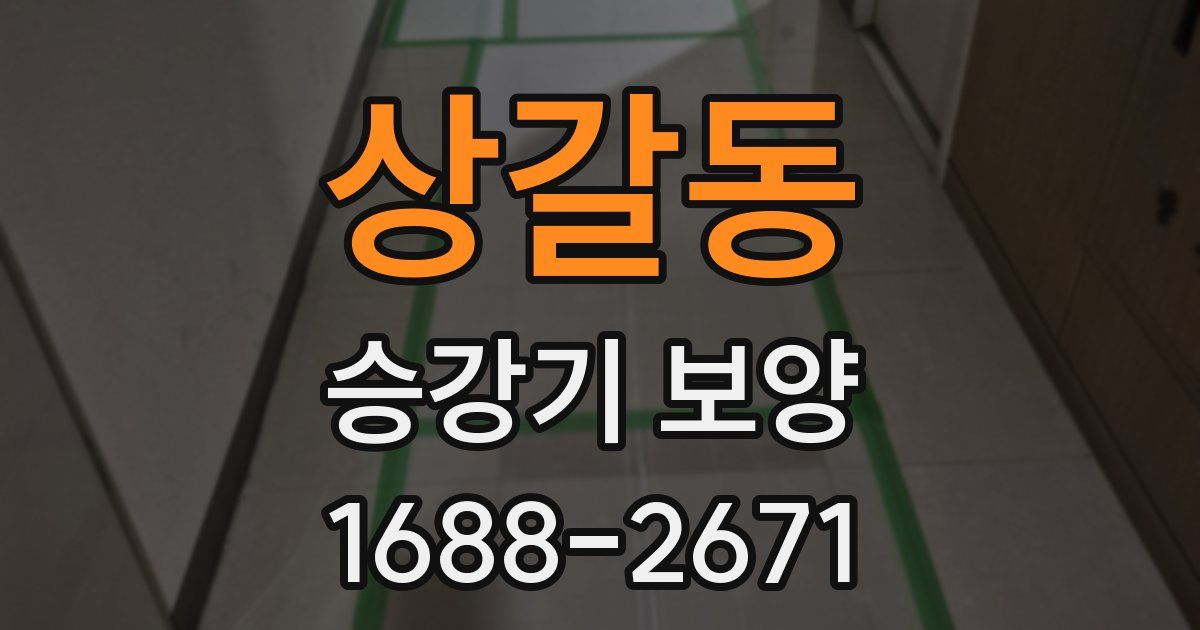 상갈동 승강기 보양