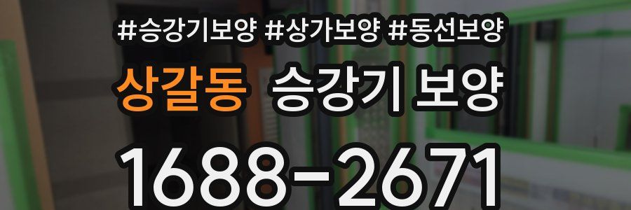 상갈동 승강기 보양