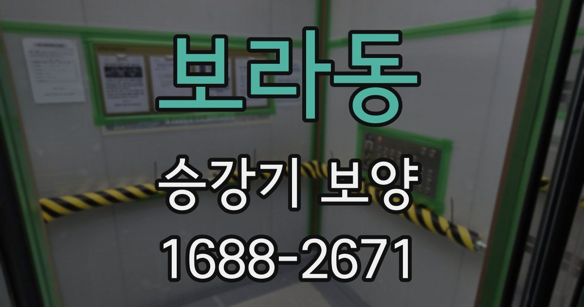 보라동 승강기 보양