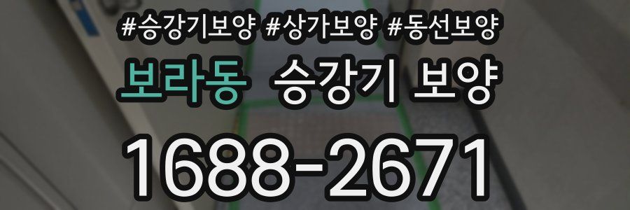 보라동 승강기 보양