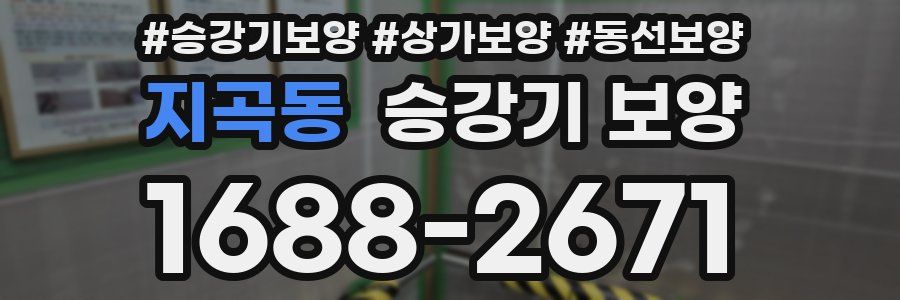 지곡동 승강기 보양