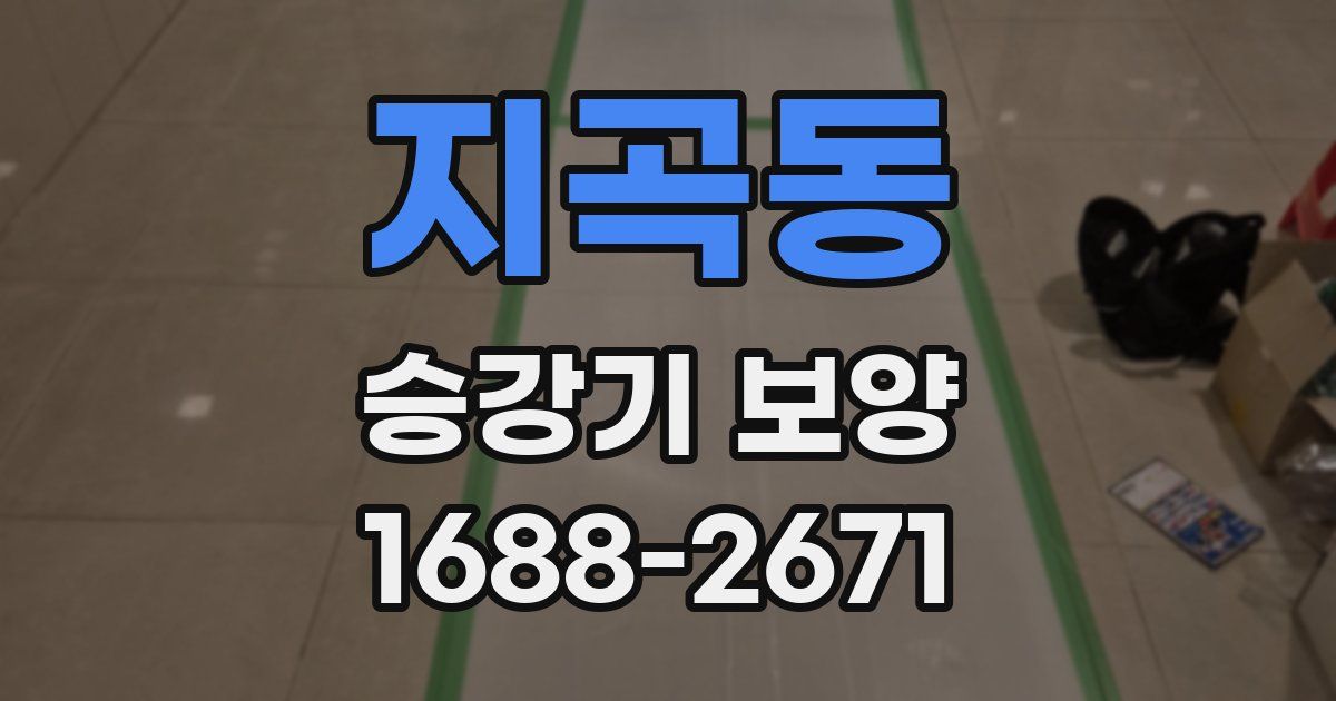 지곡동 승강기 보양