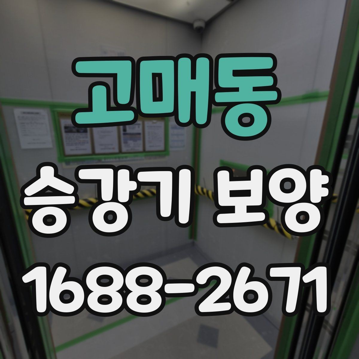 고매동 승강기 보양 기준을 현장별로 살펴보기