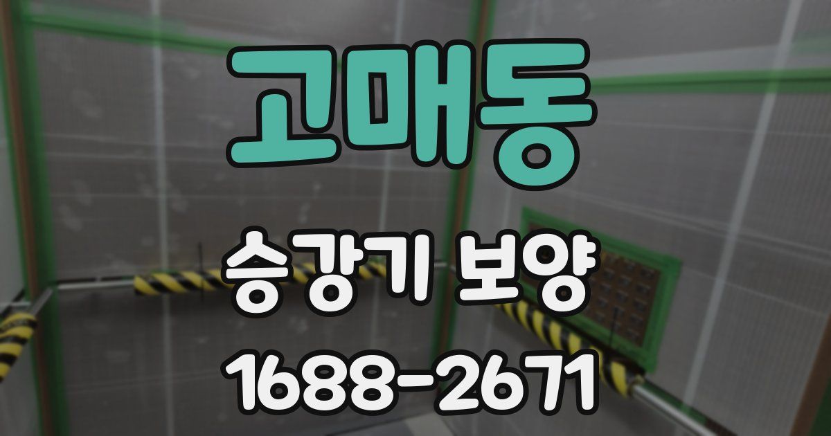 고매동 승강기 보양