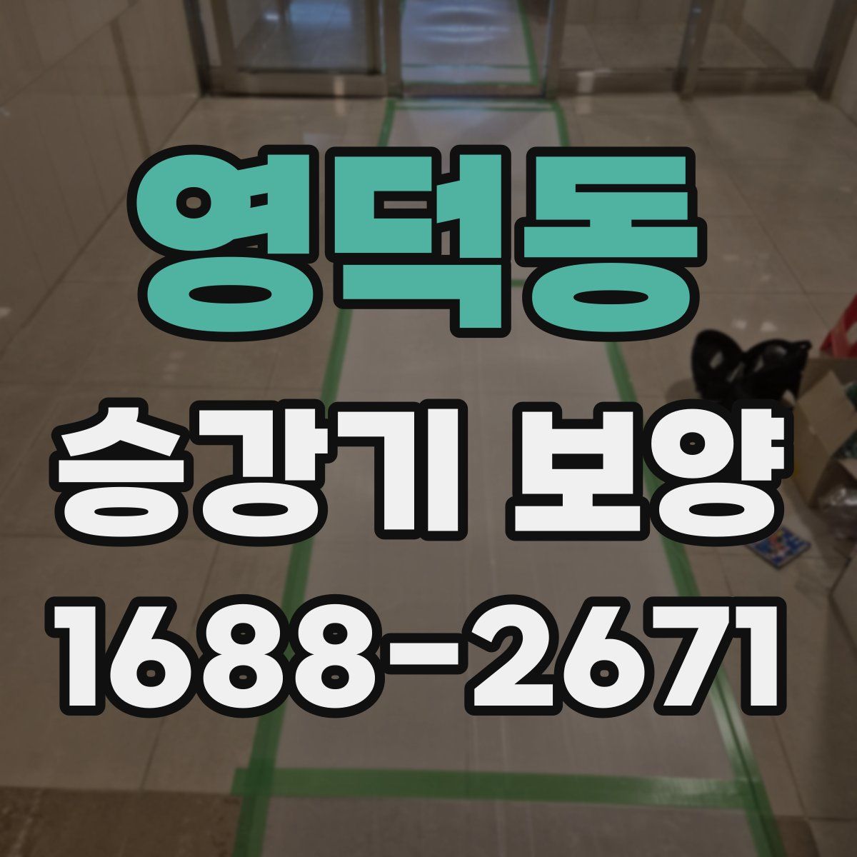 영덕동 승강기 보양