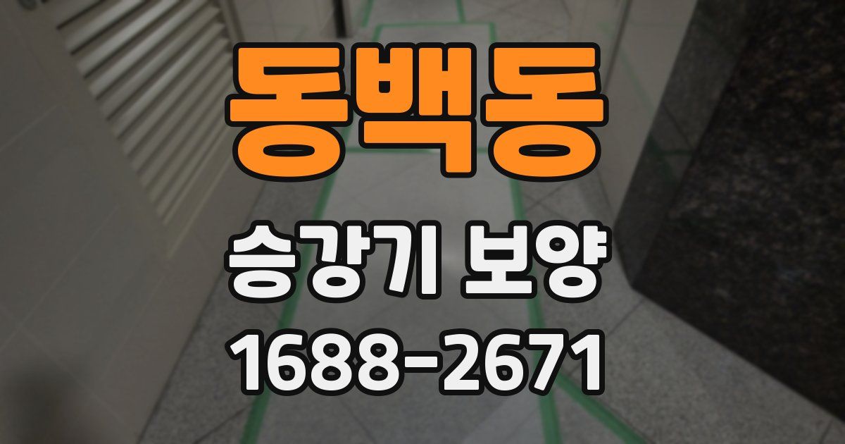 동백동 승강기 보양