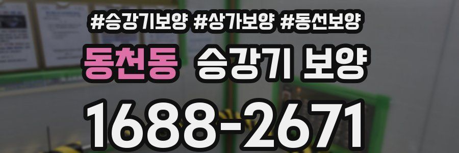 동천동 승강기 보양